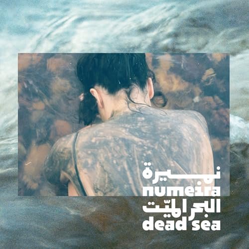 Numeira Dead Sea Mud Mask for Face & Body with Trace Minerals - Pore Reducer, Acne Treatment, Hydrating Facial Mask - Harvested from Jordan - görsel 10