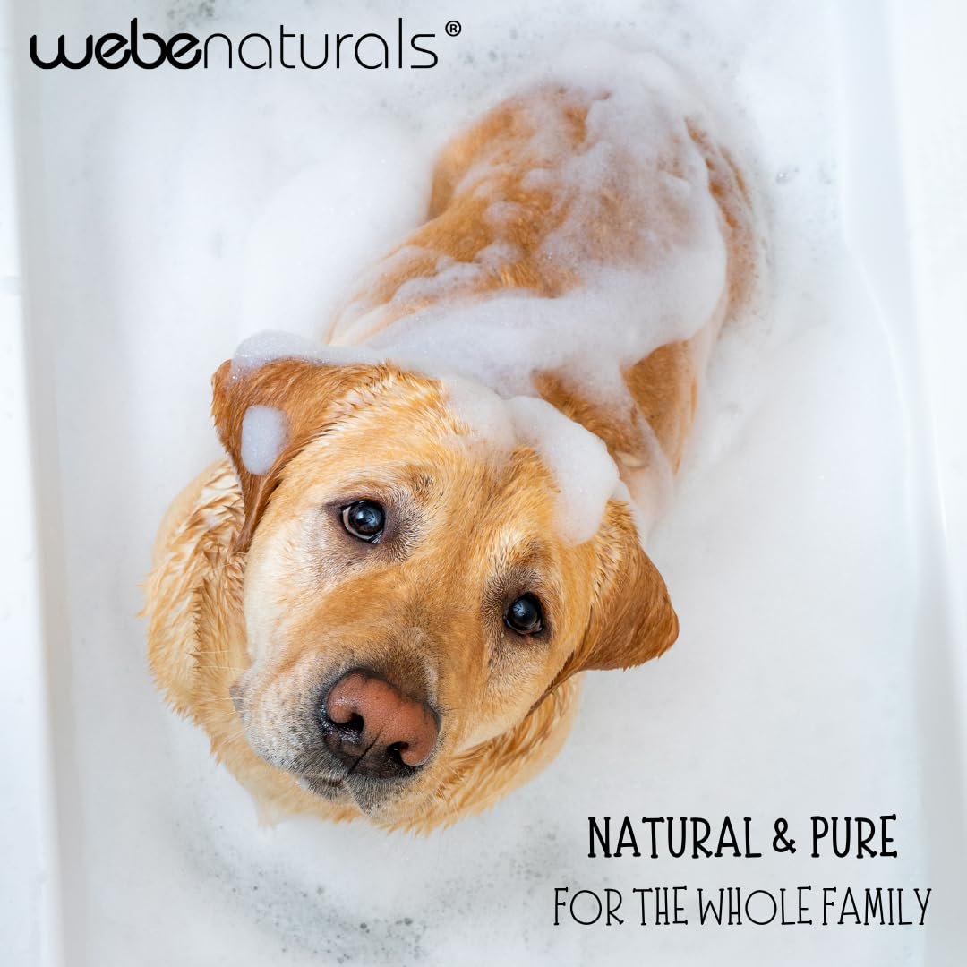 WEBE Pure Unscented Castile Liquid Soap Refill, 64 oz – Vegan, Gluten-Free, Non-GMO Multi-Purpose Soap for Face, Body, Dishes, Laundry & Pets Avelisse