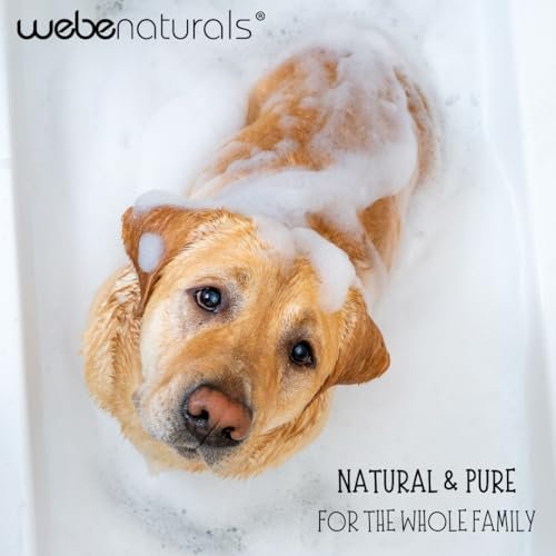 WEBE Pure Unscented Castile Liquid Soap Refill, 64 oz – Vegan, Gluten-Free, Non-GMO Multi-Purpose Soap for Face, Body, Dishes, Laundry & Pets Avelisse