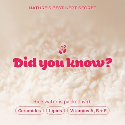 The Face Shop Rice Water Bright Vegan Cream – Instant Moisturization, Quick-Absorbing, Brightening Face Moisturizer with Rice Water, Niacinamide & Hyaluronic Acid - Korean Skin Care Avelisse