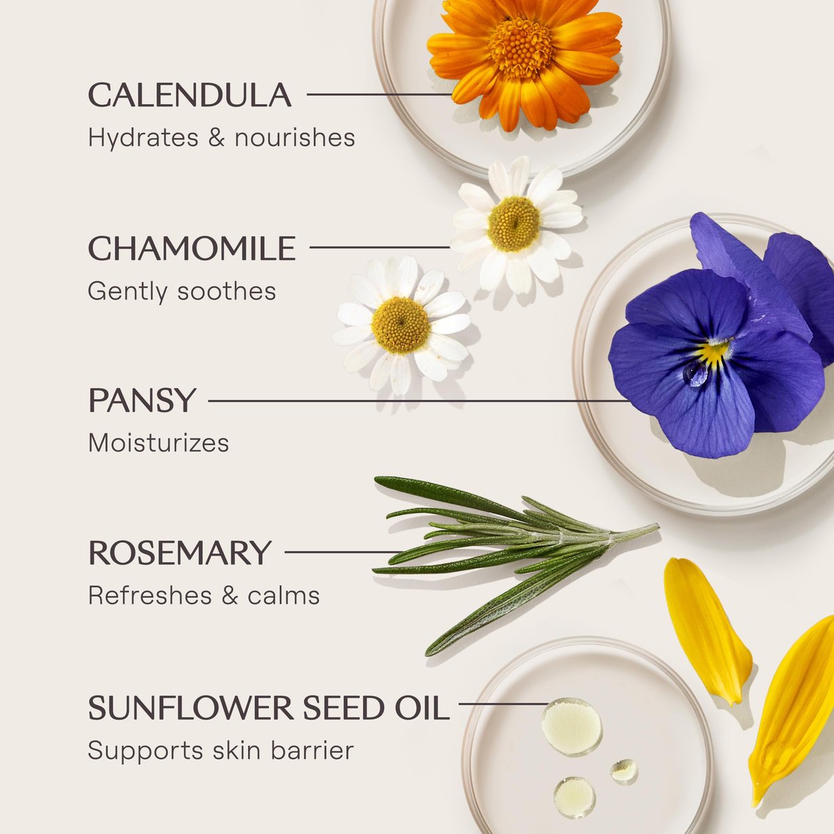 Weleda Skin Food Brightening Serum Stick with Vitamin C and Hyaluronic Acid Avelisse