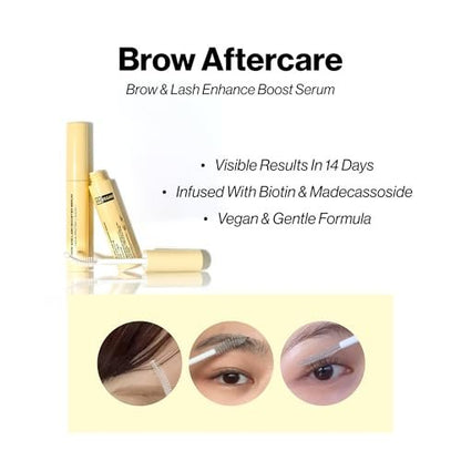 ENTROPY Eyebrow Bleach Kit – At-Home Eyebrow Lightener, Ammonia-Free Formula, Up to 6 Uses, Fast Brow Lightening for Light Blonde Results Avelisse