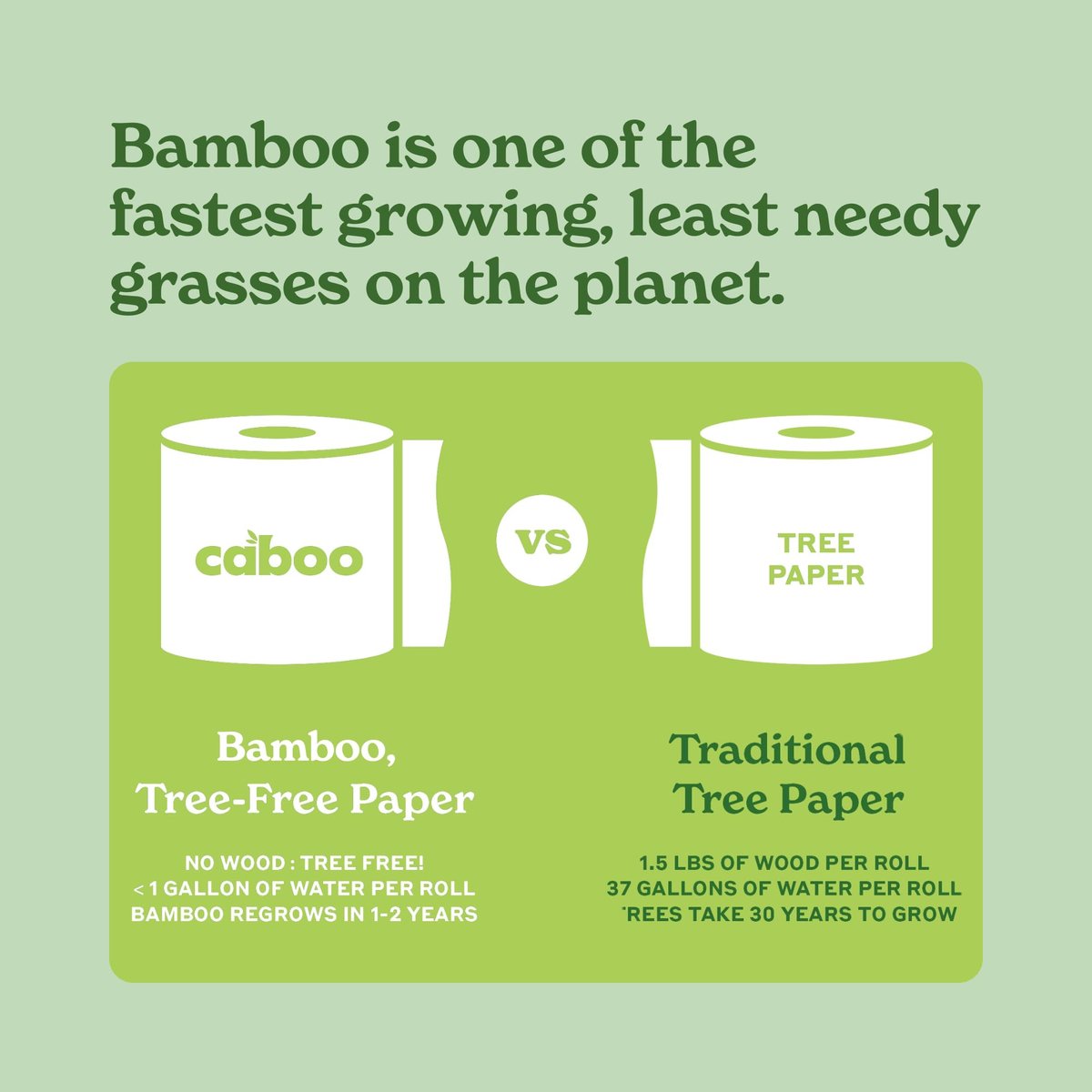 Caboo Tree Free Disposable Face Towels – 50 Soft, Lint-Free Towels | Extra-Large 10x11.5” | Gentle Alternative to Makeup Wipes & Washcloths Avelisse