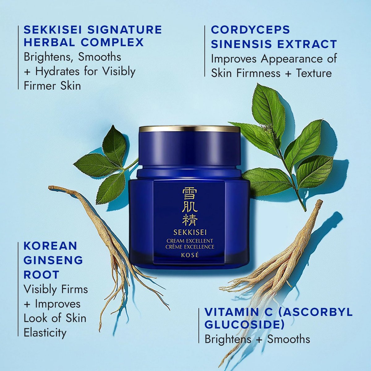 SEKKISEI Cream Excellent Facial Moisturizer – Anti-Aging Intensive Face Cream for Firming, Hydrating Treatment with Vitamin C, Ginseng & Cordyceps, 1.7 oz Avelisse
