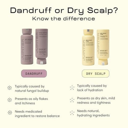 Jupiter Hydrating Shampoo and Conditioner Set – Moisturizing, Nourishing, Strengthening Hair Care – Daily Scalp & Hair Hydration – Color-Safe, Sulfate-Free, Paraben-Free, 14 fl. oz. each Avelisse