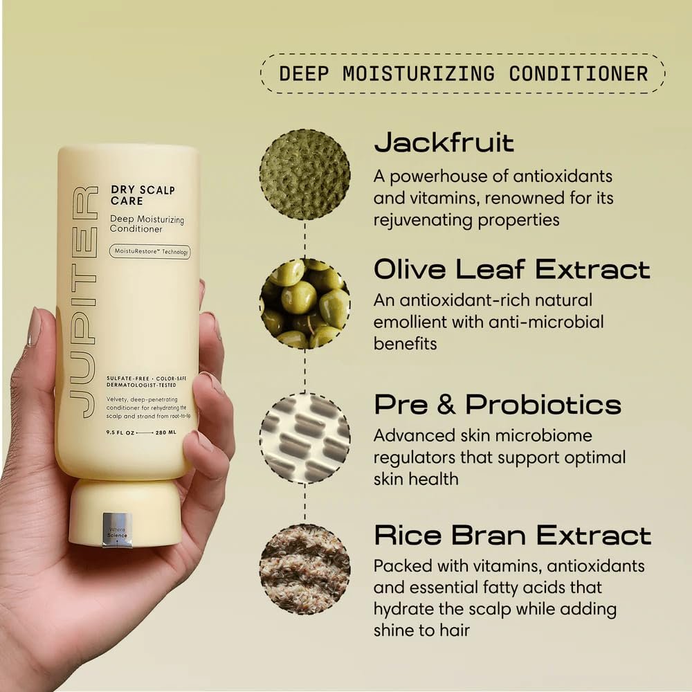 Jupiter Hydrating Shampoo and Conditioner Set – Moisturizing, Nourishing, Strengthening Hair Care – Daily Scalp & Hair Hydration – Color-Safe, Sulfate-Free, Paraben-Free, 14 fl. oz. each Avelisse