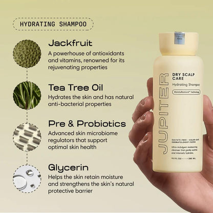 Jupiter Hydrating Shampoo and Conditioner Set – Moisturizing, Nourishing, Strengthening Hair Care – Daily Scalp & Hair Hydration – Color-Safe, Sulfate-Free, Paraben-Free, 14 fl. oz. each Avelisse