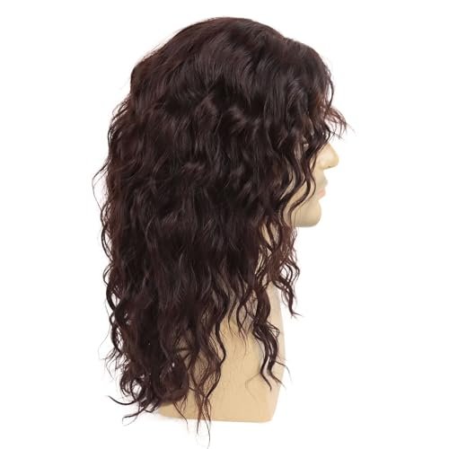 GNIMEGIL Long Brown Wigs for Men - Synthetic Layered Wavy Cosplay Party Wig 70s 80s Punk Rocker California Wig with Bangs Avelisse
