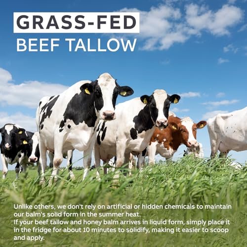 Beef Tallow for Skin with Honey – Grass Fed Tallow Face Moisturizer, Nourishing & Hydrating Balm, 60g Avelisse