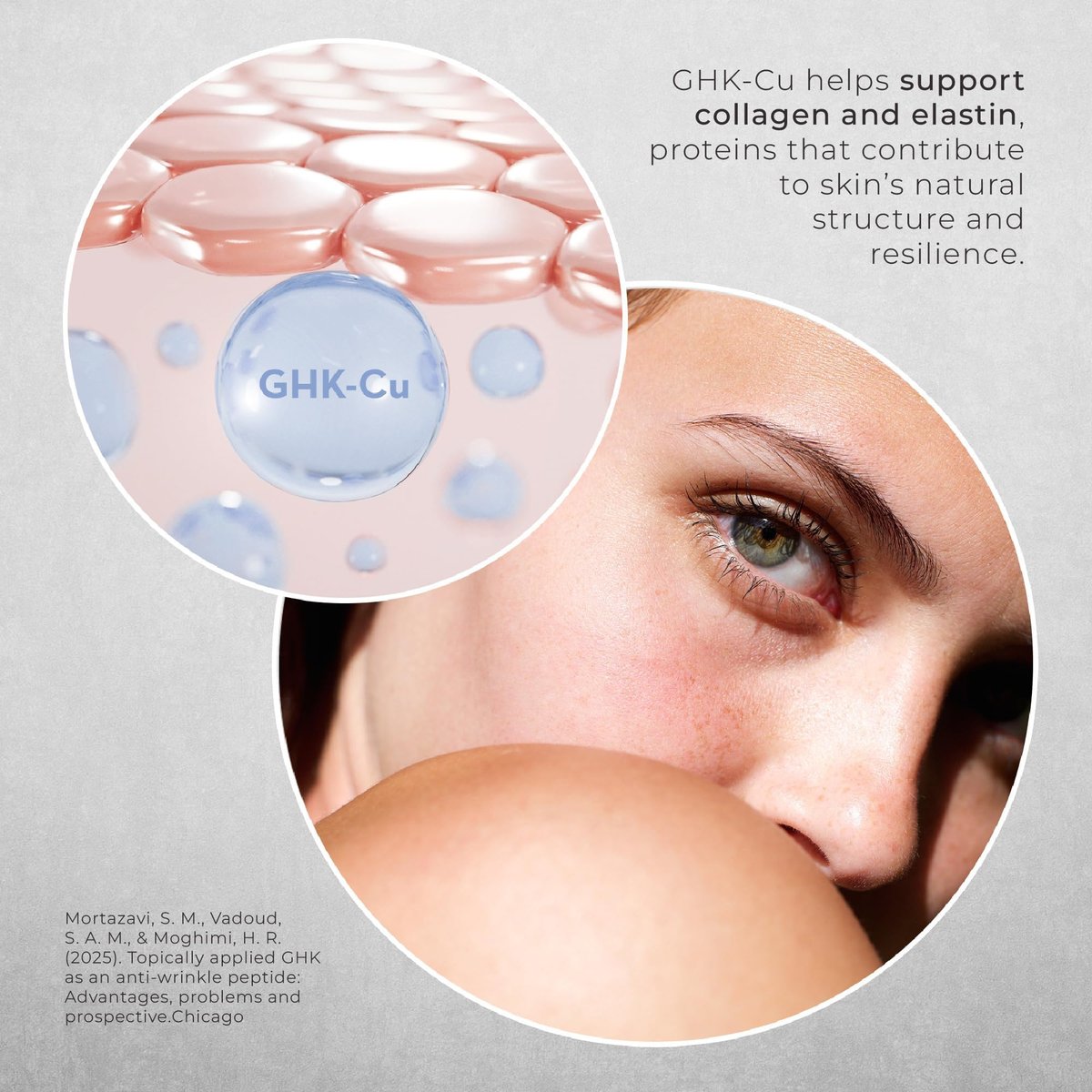 Neurogan GHK-Cu Copper Peptide Face Cream | 4% Peptides for Skin Firmness & Deep Hydration | Daily Facial Moisturizer with 2400 MG GHK-Cu, 2oz Avelisse