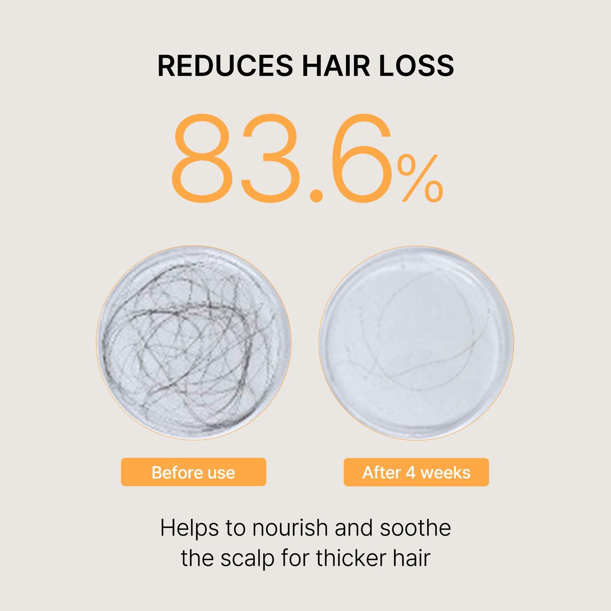 Morethan8 Korean Hair Thickening Shampoo with Matsutake Mushroom – Anti-Hair Loss & Hair Growth, 300ml, 100% Vegan, Paraben & Sulfate & Silicone Free Avelisse