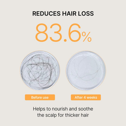 Morethan8 Korean Hair Thickening Shampoo with Matsutake Mushroom – Anti-Hair Loss & Hair Growth, 300ml, 100% Vegan, Paraben & Sulfate & Silicone Free Avelisse