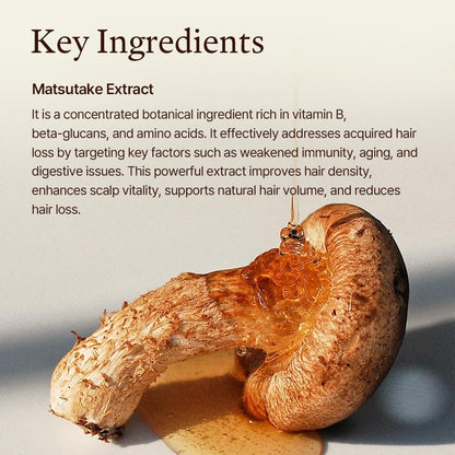 Morethan8 Korean Hair Thickening Shampoo with Matsutake Mushroom – Anti-Hair Loss & Hair Growth, 300ml, 100% Vegan, Paraben & Sulfate & Silicone Free Avelisse