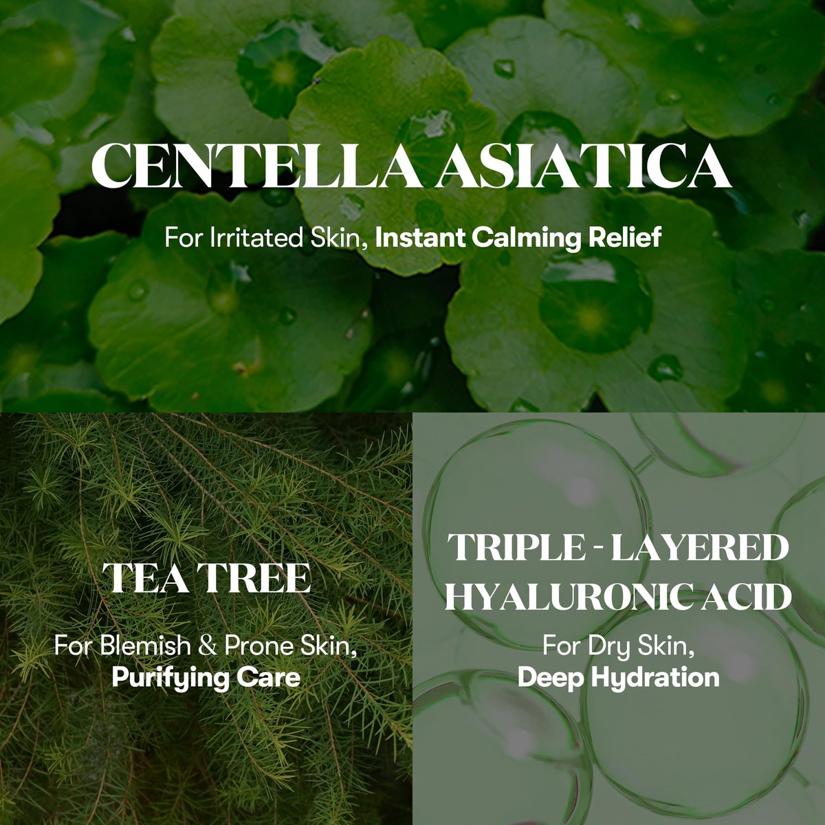 VT COSMETICS Cica Cream Plus – Hydrating & Calming Face Moisturizer with Centella Asiatica for Acne, Oily, Dry & Sensitive Skin (3.38 fl oz) Avelisse