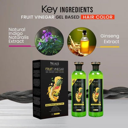 Proadss Fruit Vinegar Gel Hair Color - Safe, Damage-Free Gel Hair Dye (Natural, 16.91 Fl Oz, Pack of 2)