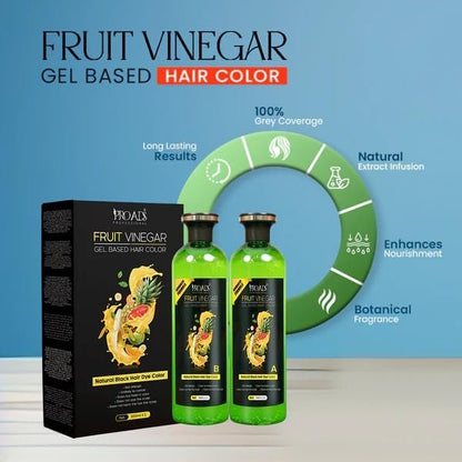 Proadss Fruit Vinegar Gel Hair Color - Safe, Damage-Free Gel Hair Dye (Natural, 16.91 Fl Oz, Pack of 2)