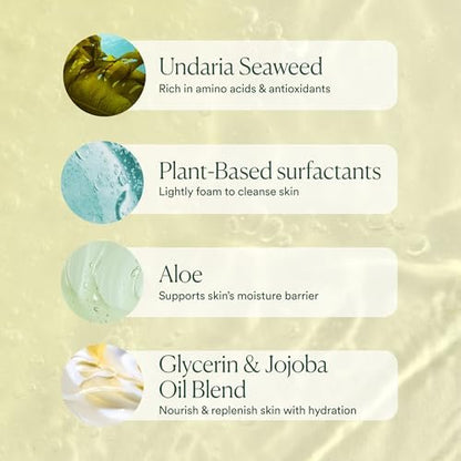 OSEA Undaria Algae™ Body Wash - pH Balanced Hydrating & Moisturizing Citrus Scented Body Cleanser - Clean, Vegan, Non-Toxic Skincare - 8 oz Avelisse