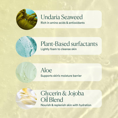 OSEA Undaria Algae™ Body Wash - pH Balanced Hydrating & Moisturizing Citrus Scented Body Cleanser - Clean, Vegan, Non-Toxic Skincare - 8 oz Avelisse