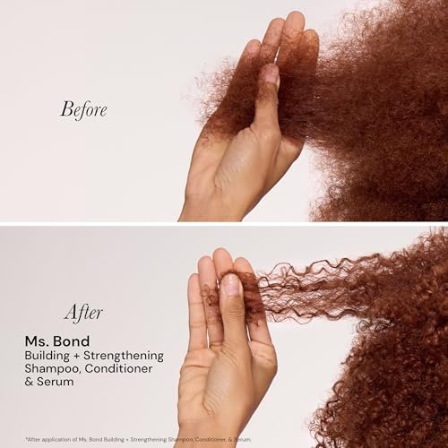 L'ANGE HAIR Ms. Bond Building + Strengthening Shampoo - Restores Hair Bonds, Breakage Recovery, Moisturizing Formula, 8 fl oz Avelisse