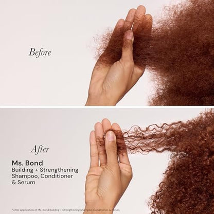 L'ANGE HAIR Ms. Bond Building + Strengthening Shampoo - Restores Hair Bonds, Breakage Recovery, Moisturizing Formula, 8 fl oz Avelisse