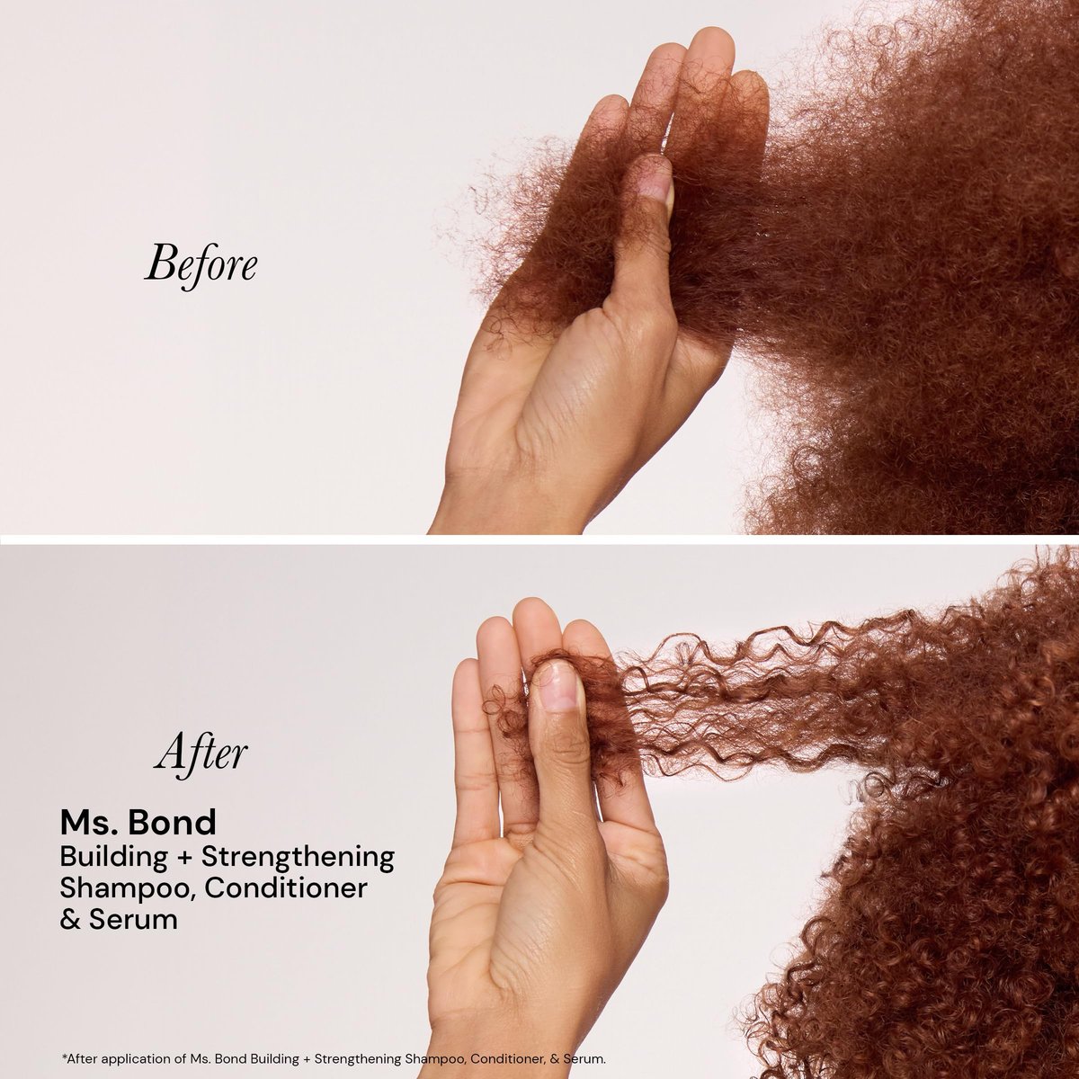 L'ANGE HAIR Ms. Bond Building + Strengthening Shampoo - Restores Hair Bonds, Breakage Recovery, Moisturizing Formula, 8 fl oz Avelisse