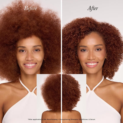 L'ANGE HAIR Ms. Bond Building + Strengthening Shampoo - Restores Hair Bonds, Breakage Recovery, Moisturizing Formula, 8 fl oz Avelisse