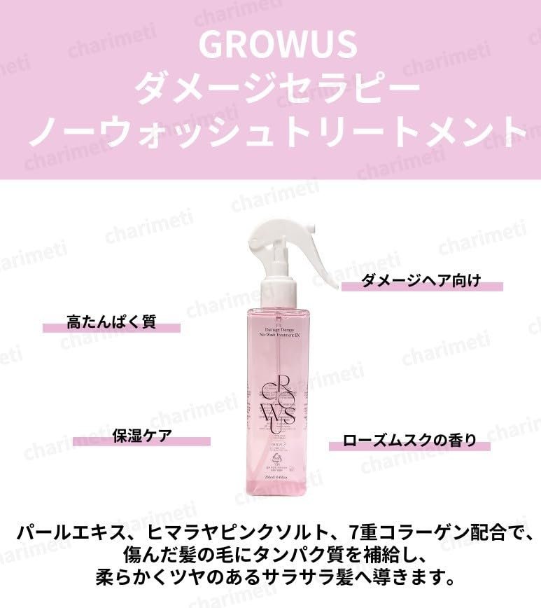 GROWUS Damage Therapy No Wash Treatment 250ml - Deep Conditioner for Low & High Porosity Hair - görsel 2