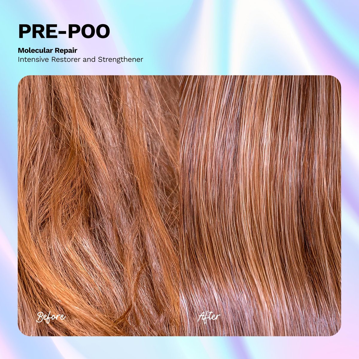 Ginger Milk Pre-Shampoo Treatment for Dry, Damaged & Color-Treated Hair | Deep Conditioning Hair Mask | Reduces Breakage & Frizz | 8 oz Avelisse