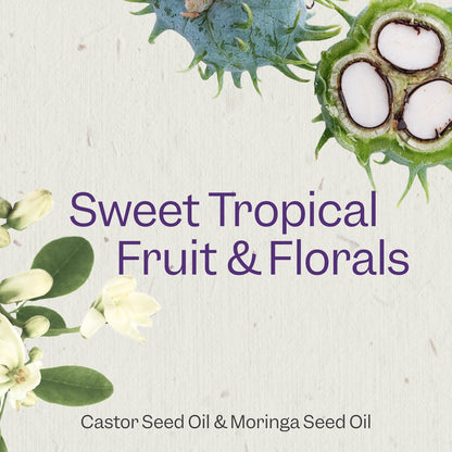 Renpure Castor Oil & Moringa Curl Gel - Curl Enhancing Gel for Smooth, Defined & Frizz-Free Curls - With Castor Oil & Moringa Seed Oil - For Wavy to Curly Hair - 8 Fl Oz