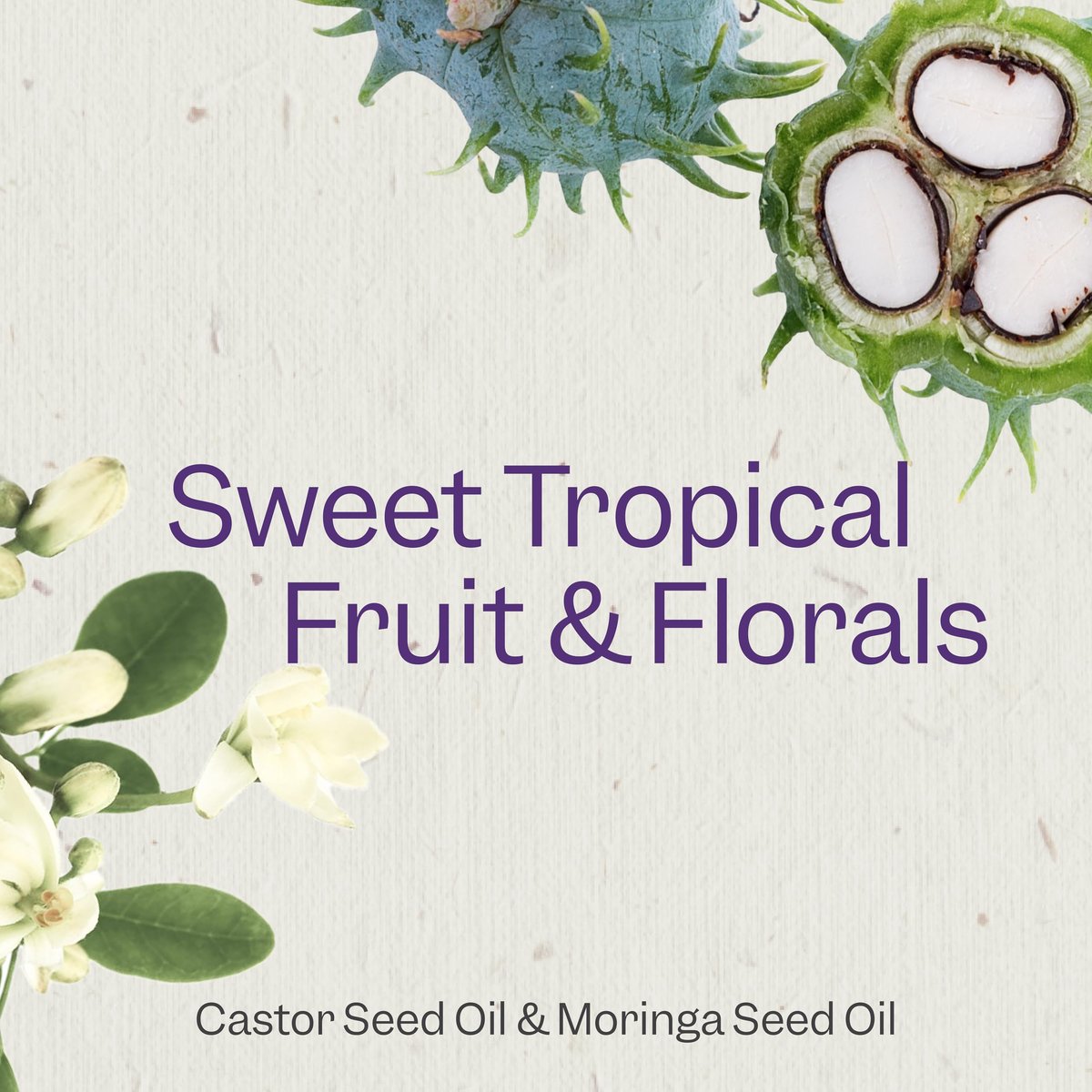 Renpure Castor Oil & Moringa Curl Enhancing Conditioner - Moisturize, Detangle & Control Frizz for Wavy to Curly Hair - 24 Fl Oz - görsel 6