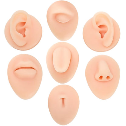 Acshio 7-Pack Silicone Piercing Model Set – Soft, Flexible Body Parts Displays for Practice – 3D Simulation Tool Kit for Novice Piercers Avelisse