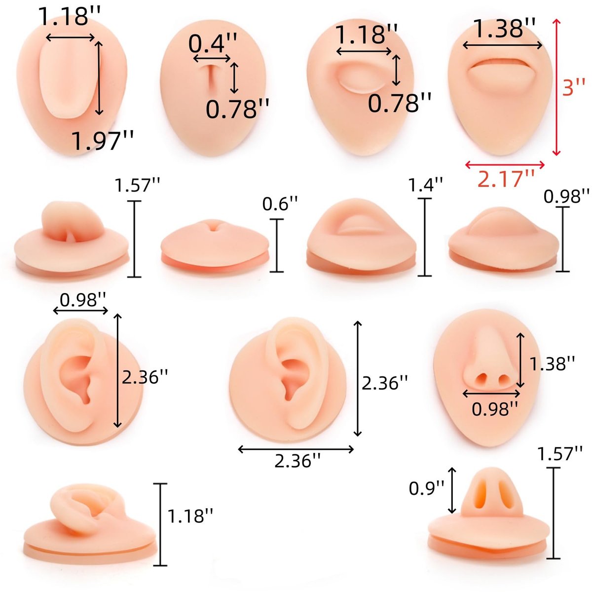 Acshio 7-Pack Silicone Piercing Model Set – Soft, Flexible Body Parts Displays for Practice – 3D Simulation Tool Kit for Novice Piercers Avelisse