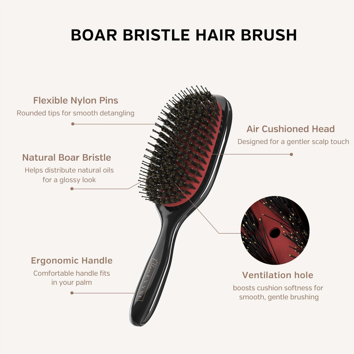 Ellen Evyse Boar Bristle Hair Brush with Nylon Pins – Smoothing, Detangling & Shine for Women and Men Avelisse