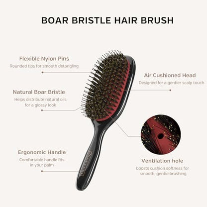 Ellen Evyse Boar Bristle Hair Brush with Nylon Pins – Smoothing, Detangling & Shine for Women and Men Avelisse