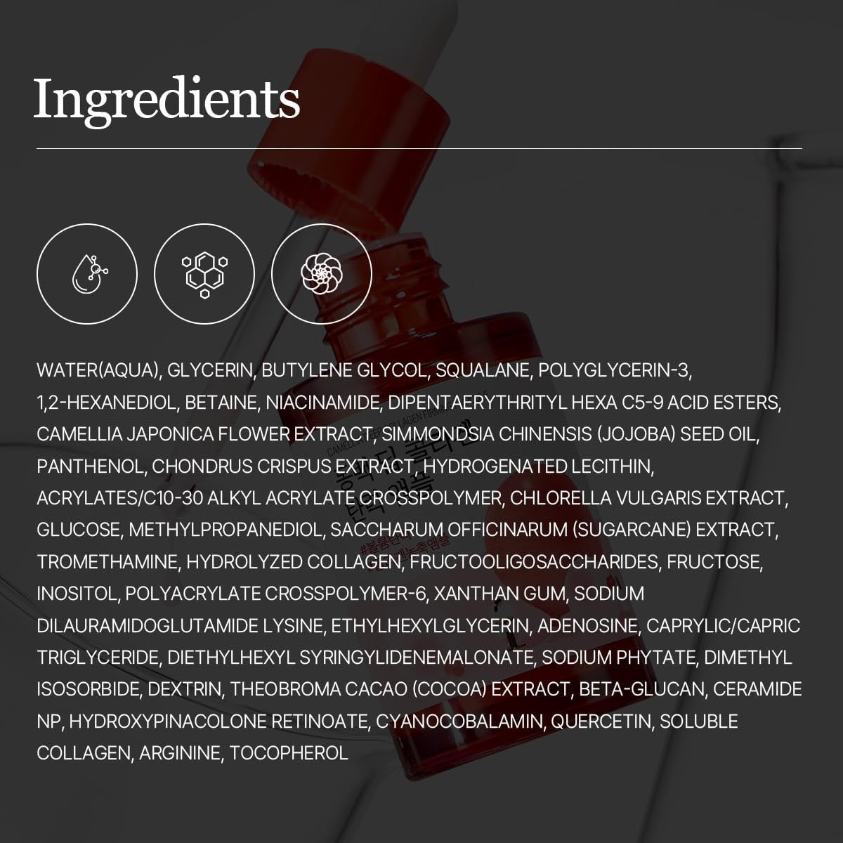 ROUND LAB Camellia Deep Collagen Firming Ampoule 1.01 Fl Oz - Hydrating & Elasticity-Enhancing Facial Serum with Multi Collagen for Smooth Fine Lines, Firm Skin, and Pore Tightening | Korean Skincare Avelisse