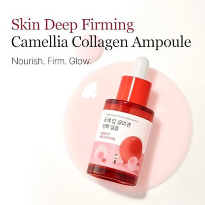 ROUND LAB Camellia Deep Collagen Firming Ampoule 1.01 Fl Oz - Hydrating & Elasticity-Enhancing Facial Serum with Multi Collagen for Smooth Fine Lines, Firm Skin, and Pore Tightening | Korean Skincare Avelisse