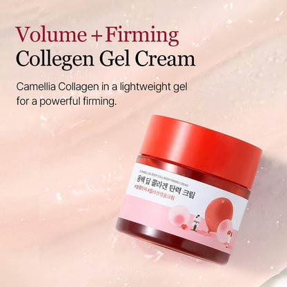 ROUND LAB Camellia Deep Collagen Firming Cream 1.69 Fl Oz - Multi-Collagen Face Moisturizer for Elasticity, Hydration, Smooth & Firm Skin, Pore Tightening, Korean Skincare Avelisse