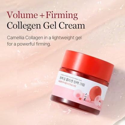 ROUND LAB Camellia Deep Collagen Firming Cream 1.69 Fl Oz - Multi-Collagen Face Moisturizer for Elasticity, Hydration, Smooth & Firm Skin, Pore Tightening, Korean Skincare Avelisse