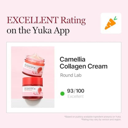 ROUND LAB Camellia Deep Collagen Firming Cream 1.69 Fl Oz - Multi-Collagen Face Moisturizer for Elasticity, Hydration, Smooth & Firm Skin, Pore Tightening, Korean Skincare Avelisse