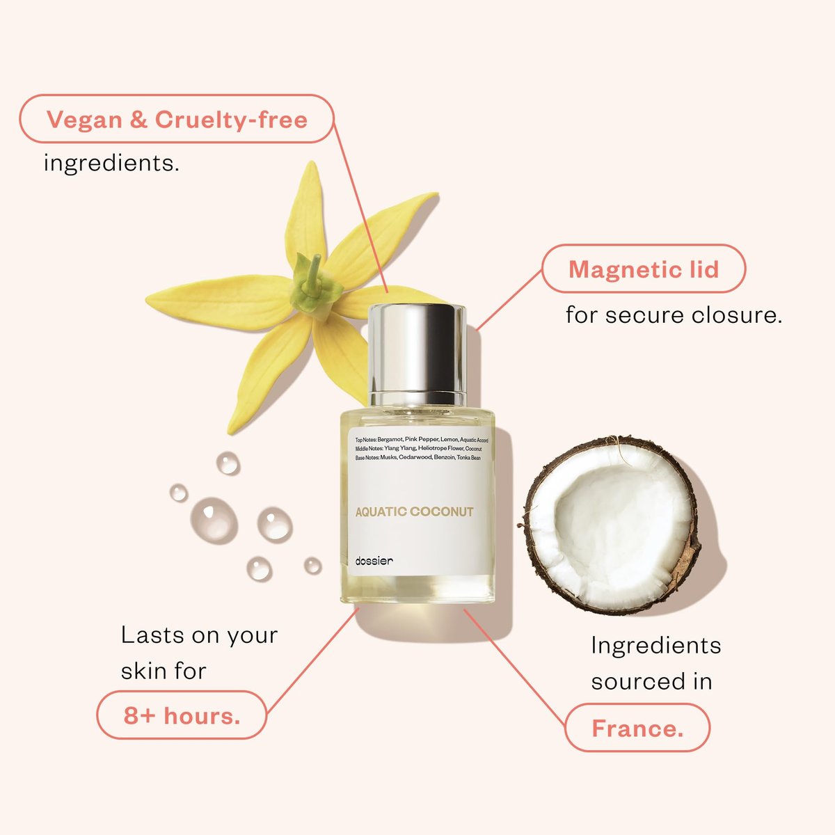 Aquatic Coconut Eau de Parfum - Inspired by Beach Walk - Long-Lasting Vegan Fragrance 50ml Avelisse