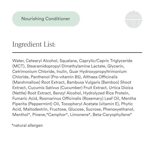 Dermazen Nourishing Conditioner for Dry, Flaky Scalp – Steroid-Free & Malassezia-Safe – Hydrates, Smooths & Reduces Visible Flaking – MCT & Rosemary – 8 fl oz Avelisse