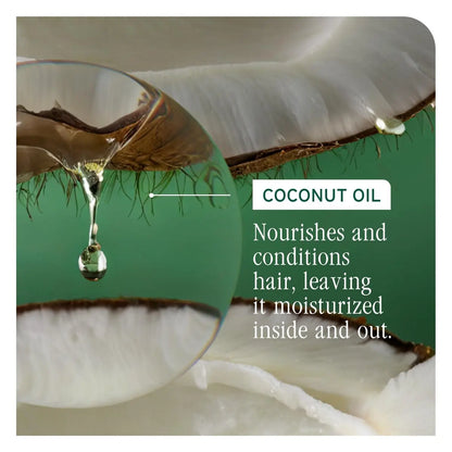 Biolage All-In-One Multi-Benefit Spray - Leave-In Treatment, Heat Protectant, Shine & Frizz Control, Coconut Oil, Vegan & Paraben-Free, 8.4 Fl Oz Avelisse