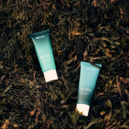 Scottish Fine Soaps Sea Kelp Body Cream with Organic Seaweed, Fresh Marine Fragrance, 75ml