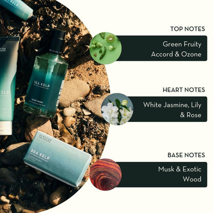 Scottish Fine Soaps Sea Kelp Body Cream with Organic Seaweed, Fresh Marine Fragrance, 75ml