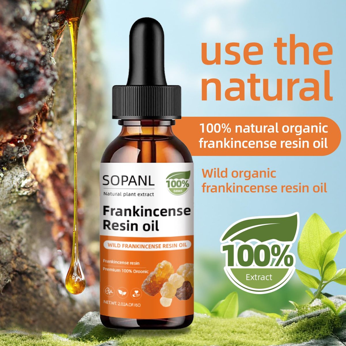Organic Frankincense Resin Oil for Face - Reduces Fine Lines & Wrinkles, Soothes Irritated Skin, Deep Hydration for All Skin Types, Daily Skincare, 2 Fl Oz Avelisse