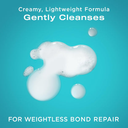 OGX Repair + Protect Bond Protein Repair Shampoo and Conditioner Set – Sulfate-Free, Hydrating Care for Color-Treated, Dry Hair, 13 fl oz Each (Pack of 2)