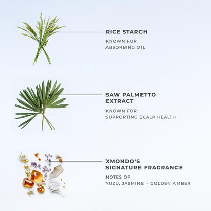 XMONDO Hair BOOST X Dry Shampoo – Zero Residue, Scalp Care with Saw Palmetto, Talc-Free, 5 oz Avelisse