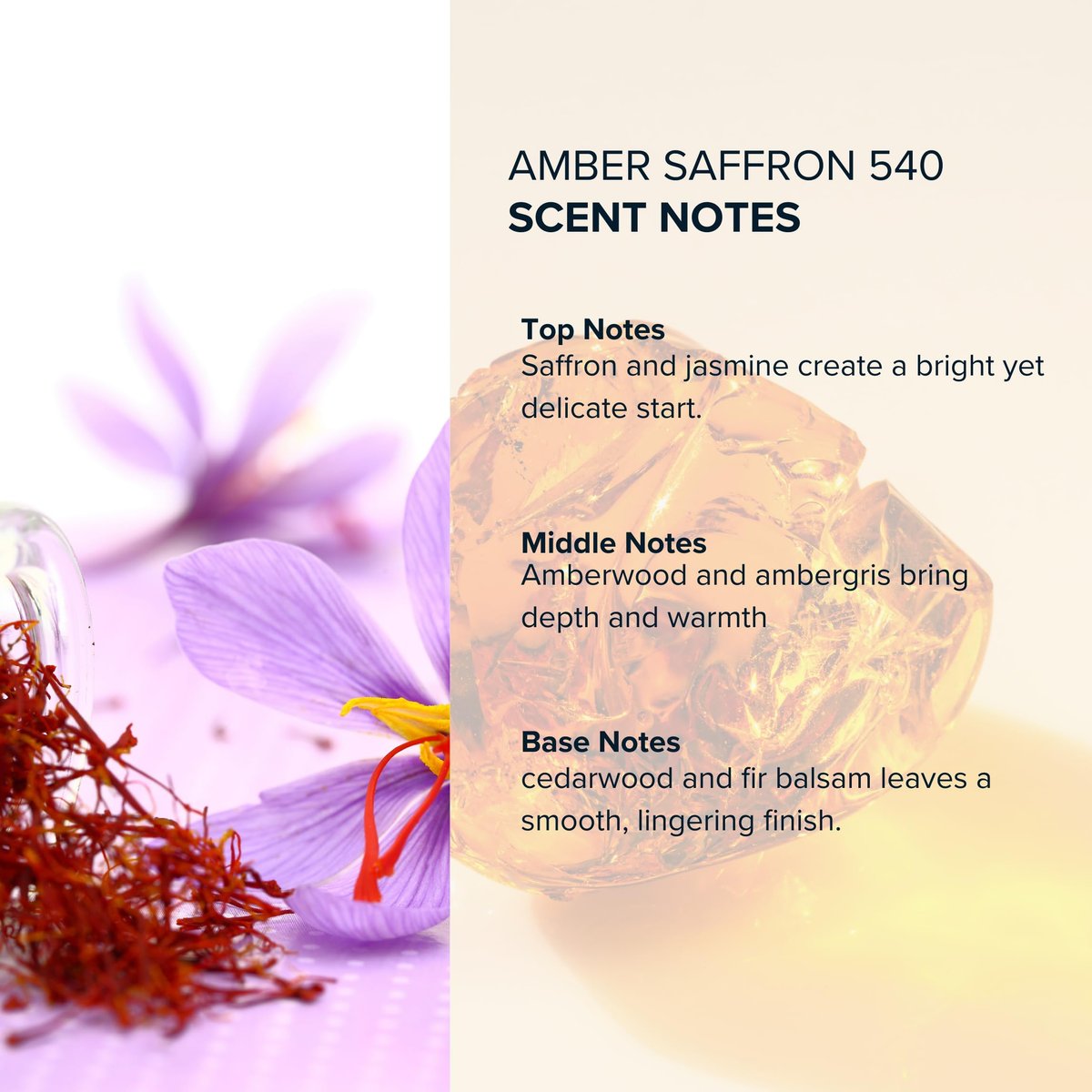 Anthology Amber Saffron 540 Roll On Perfume Oil - 0.3 oz (9 ml) Woody Amber Floral Clean Cruelty-Free Fragrance Avelisse