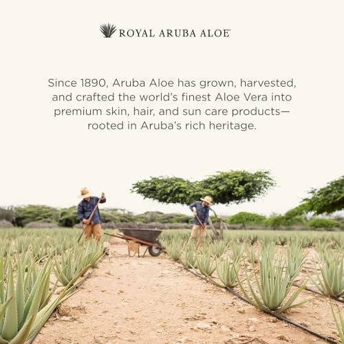 Aruba Aloe Special Care Lotion – Hydrating & Soothing for Dry, Sensitive Skin (6 oz) Avelisse