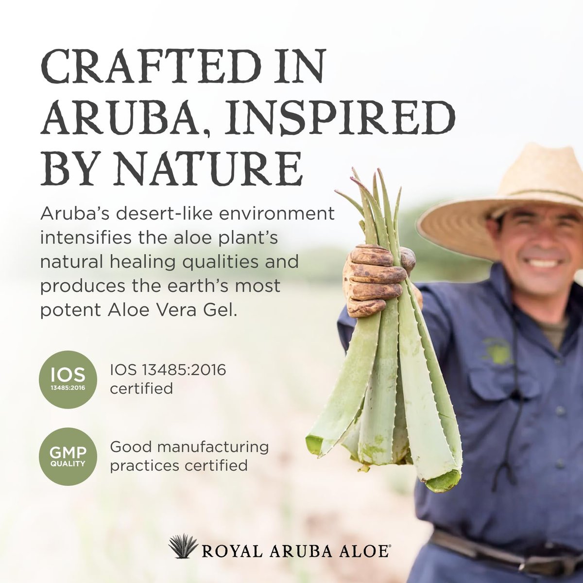 Aruba Aloe Special Care Lotion – Hydrating & Soothing for Dry, Sensitive Skin (6 oz) Avelisse